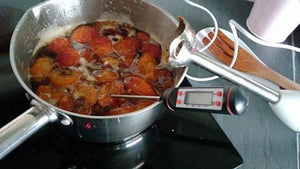 Peggy has tested our cooking thermometer ...