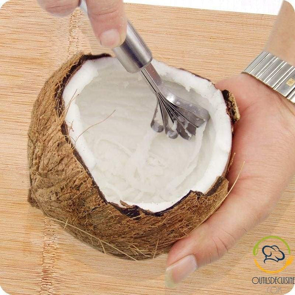 Stainless Steel Coconut Grater